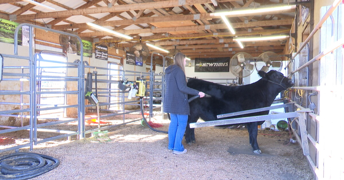 Montana teen using social media to advocate for Ag industry - Vimarsana News