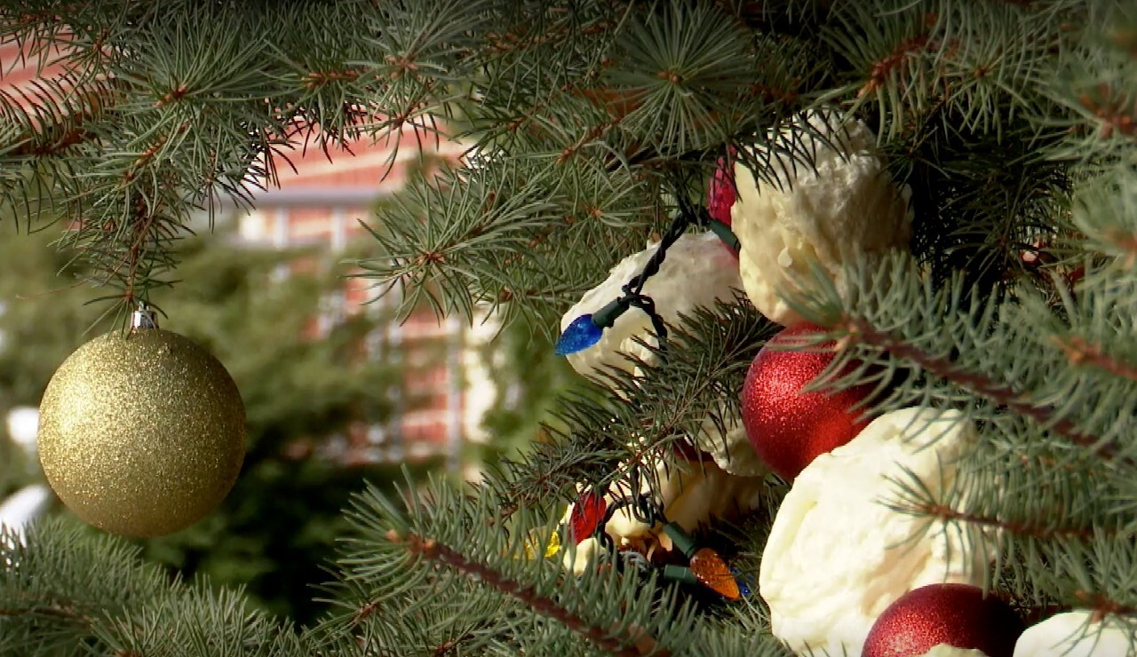 Downtown Hamilton Christmas