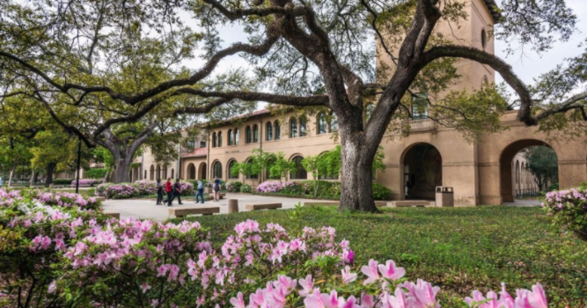 Louisiana university bars a graduate student from teaching - Vimarsana News