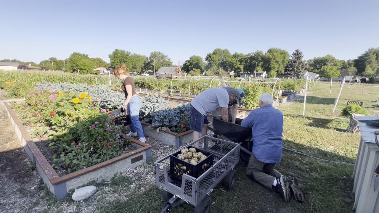 DAVE KIMBALL WEB 4_2.3.1.jpg