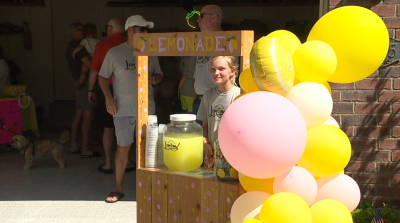 lemonade stand.png