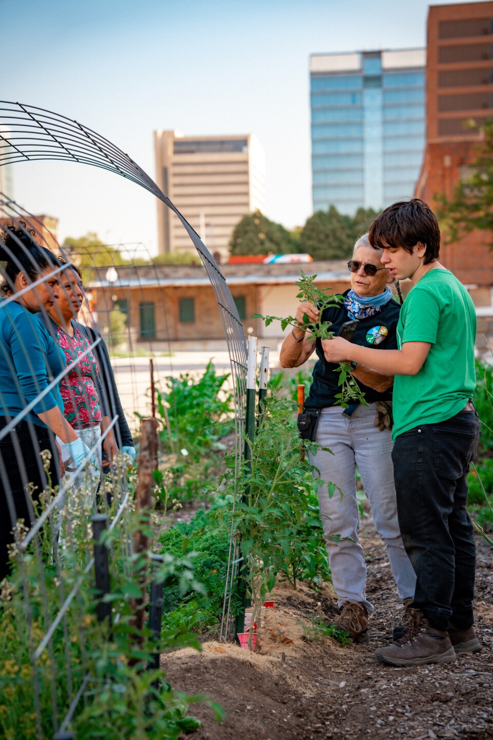 Urban Garden Photo