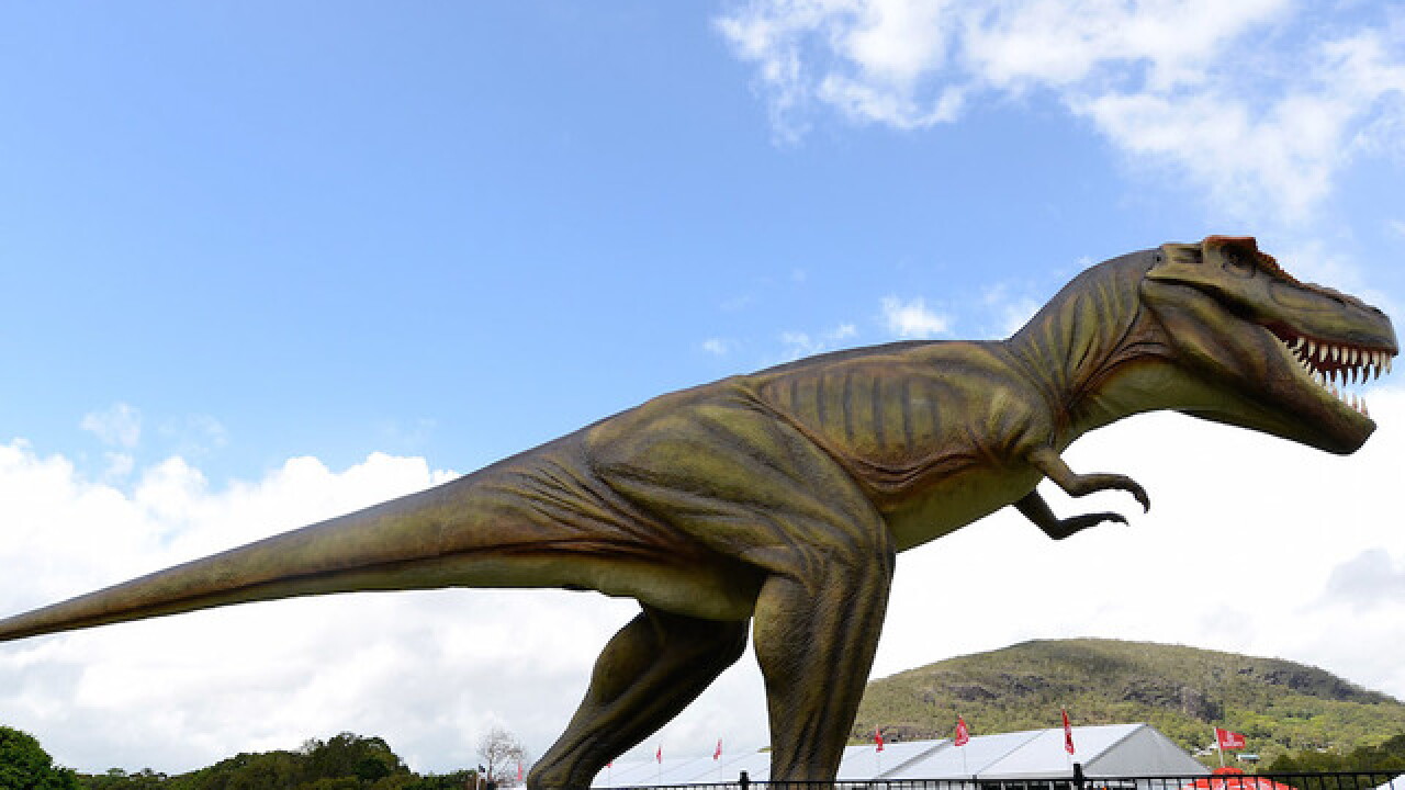 t rex arms