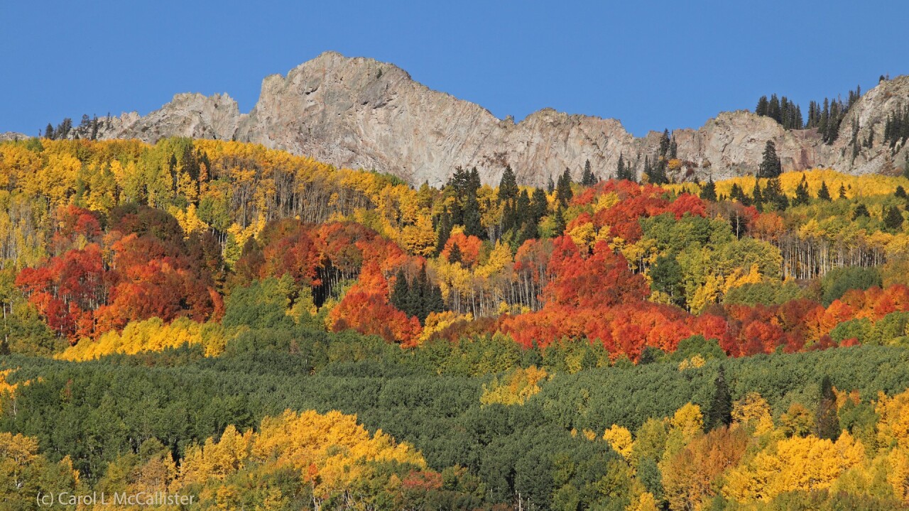 Kebler Pass Carol McCallister.jpg