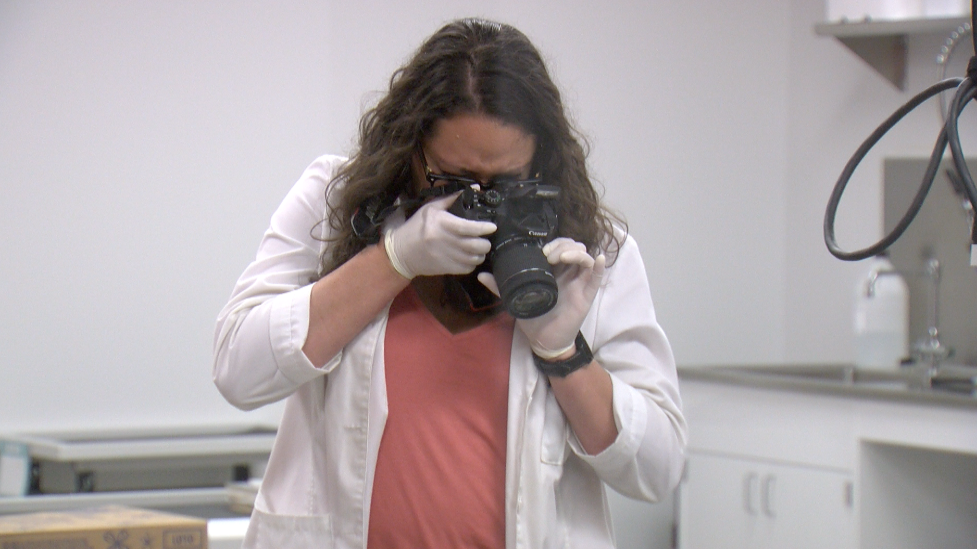 Screen Shot 2021-07-21 at 12.32.53 PM.png