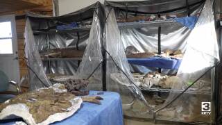 Poster image (4).jpg