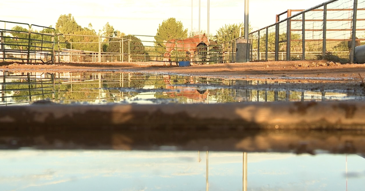 Pinal County farm is cleaning up, closed for business after flooding from monsoon storms