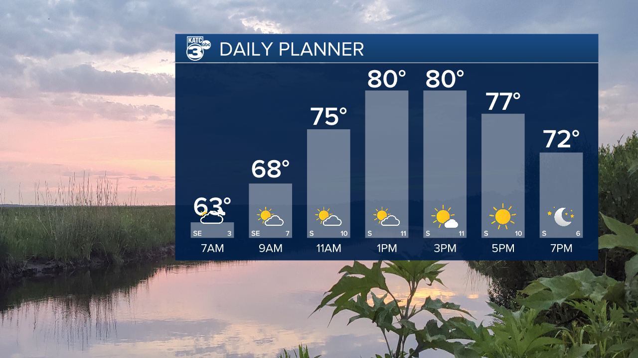 Daniel Day Planner.png