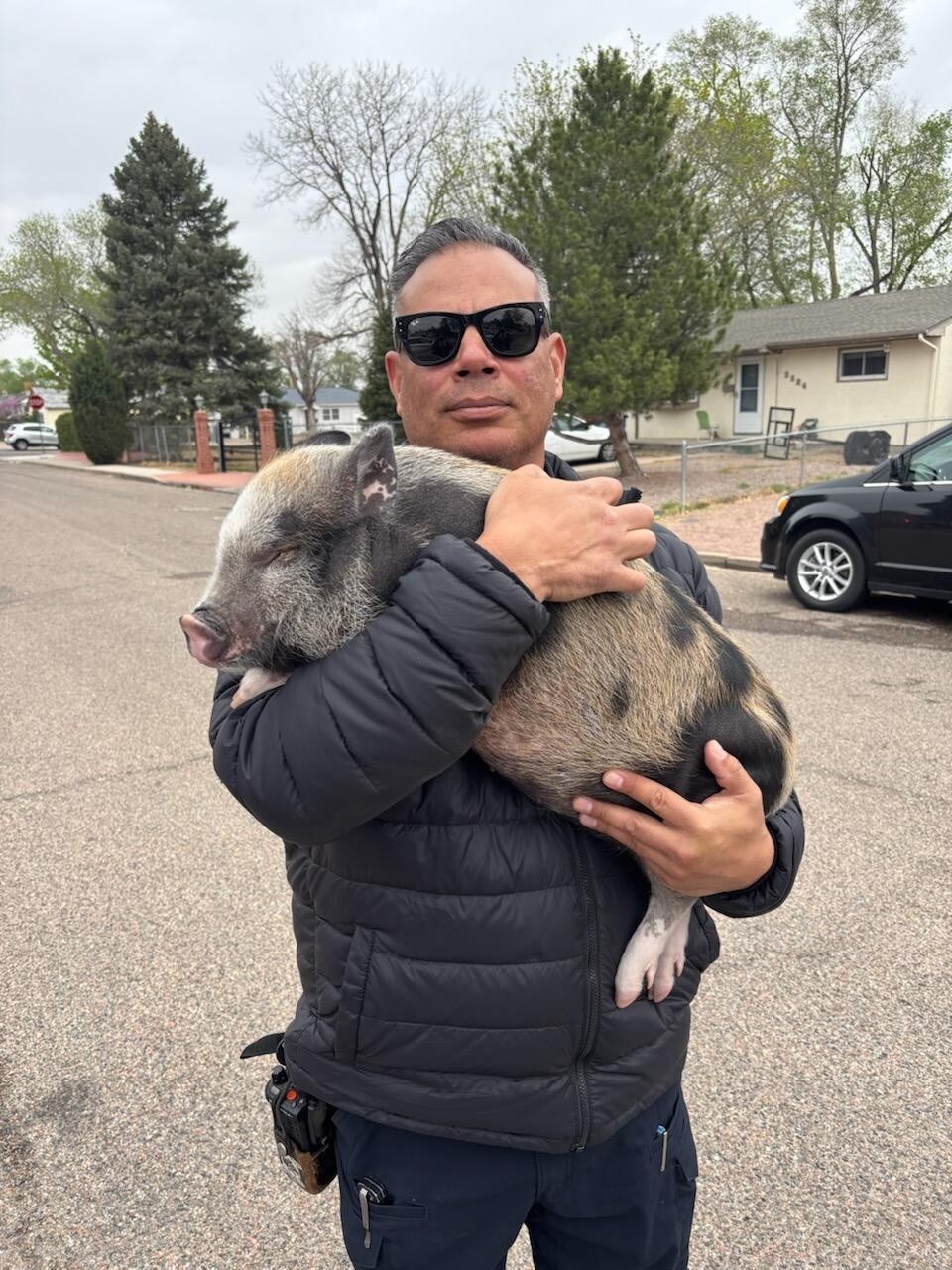 Potbelly Pig Fire.jpg