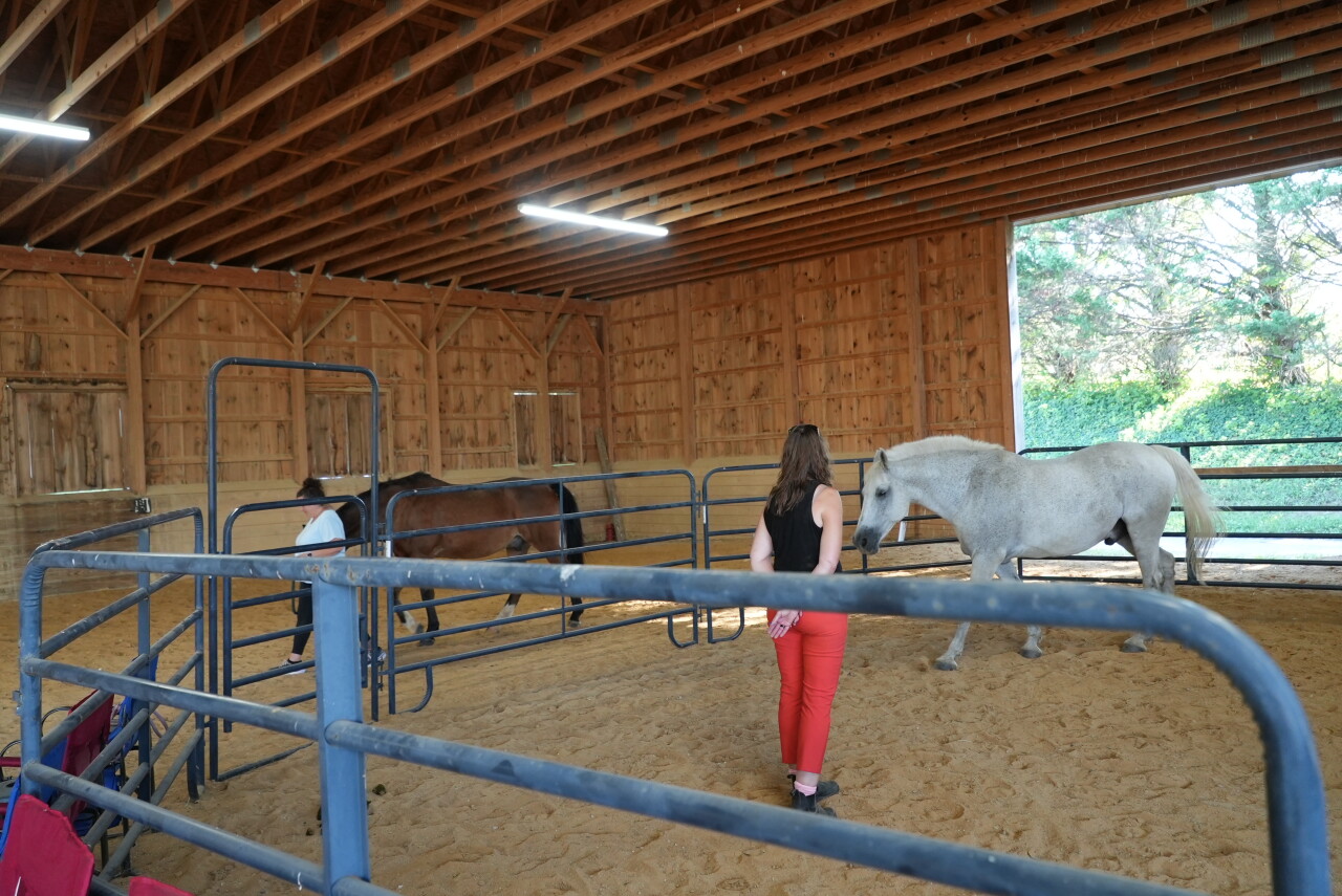 Both horses at the farm
