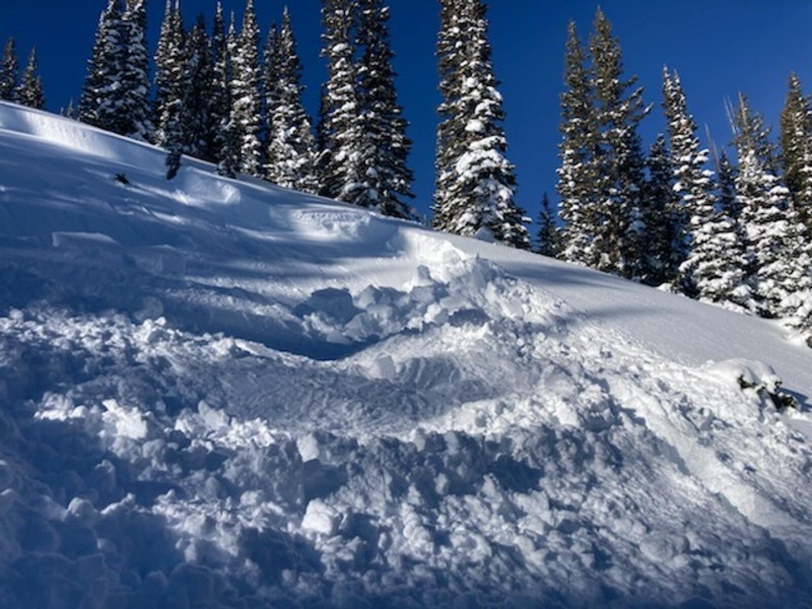 Snowmobiler dies in avalanche in Wyoming, just north of Colorado state line