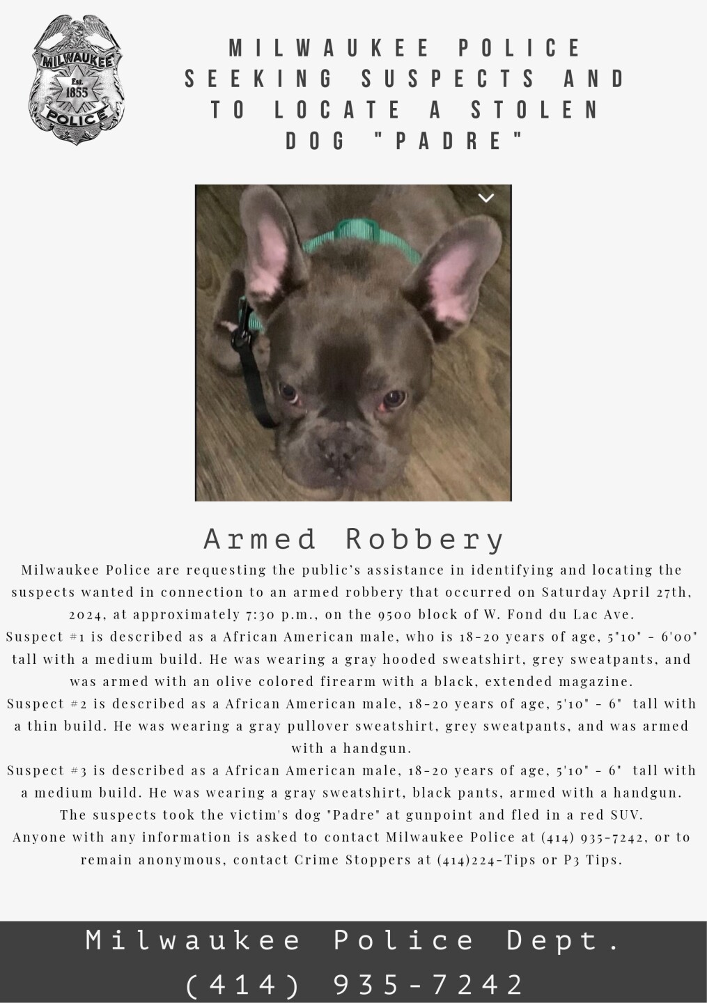 Armed robbery leads to stolen dog