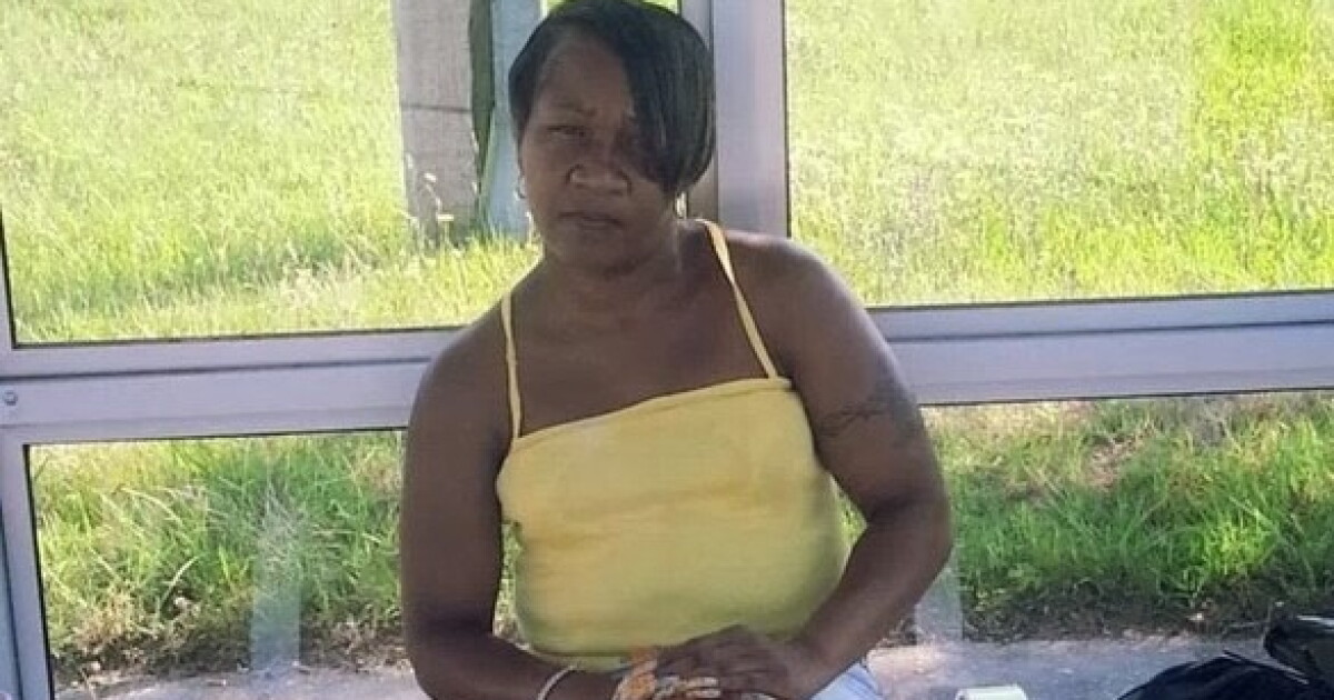 Family of missing Newport News woman holds press conference - Vimarsana News