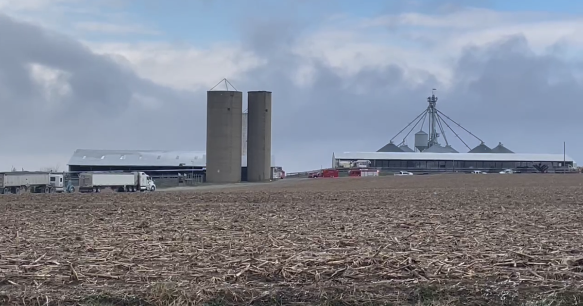 Crews rescue 76-year-old man trapped in grain bin on Clinton County farm