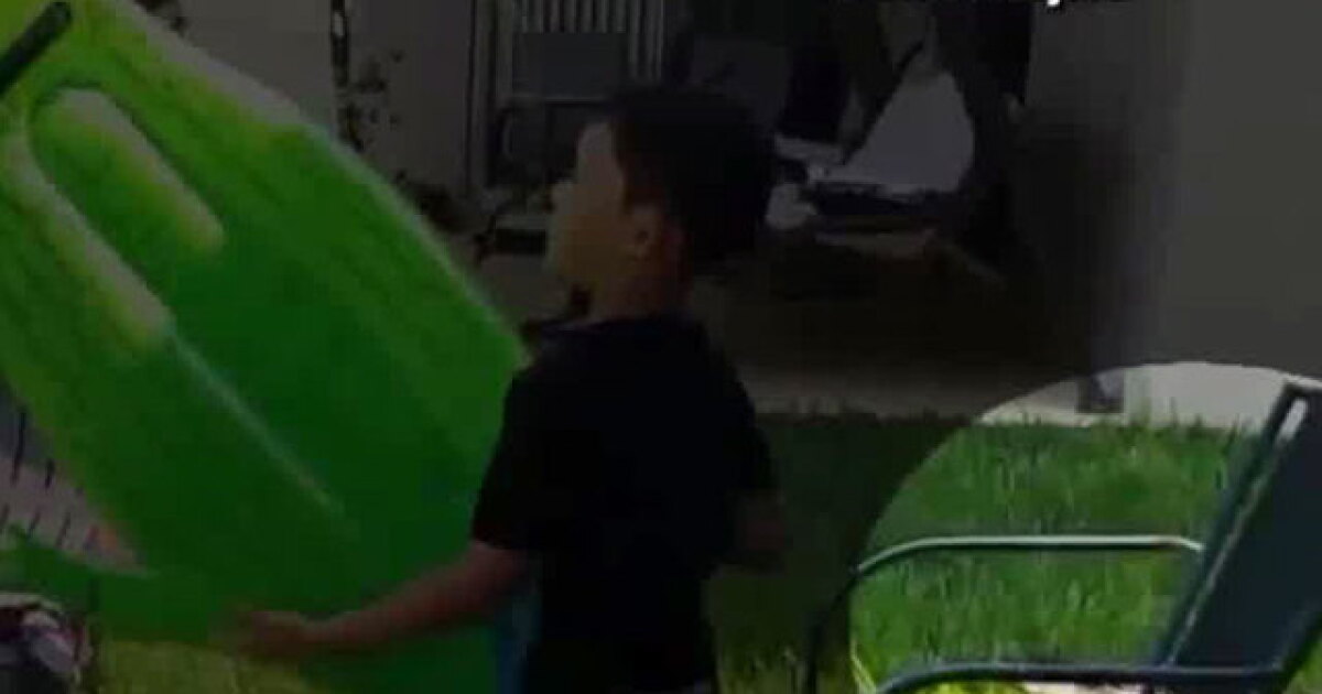 Real Gator Watches Florida Boy With Toy Alligator Play On Slip And