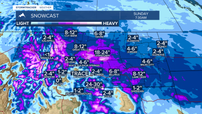 MARCH12SNOWCAST.png