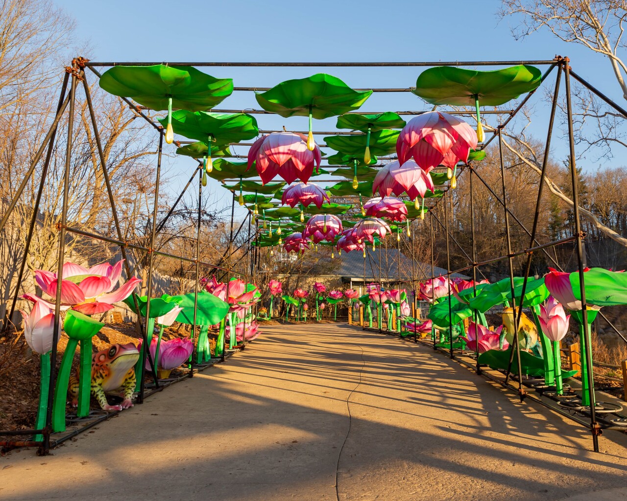 lantern festival jbz 4.jpg