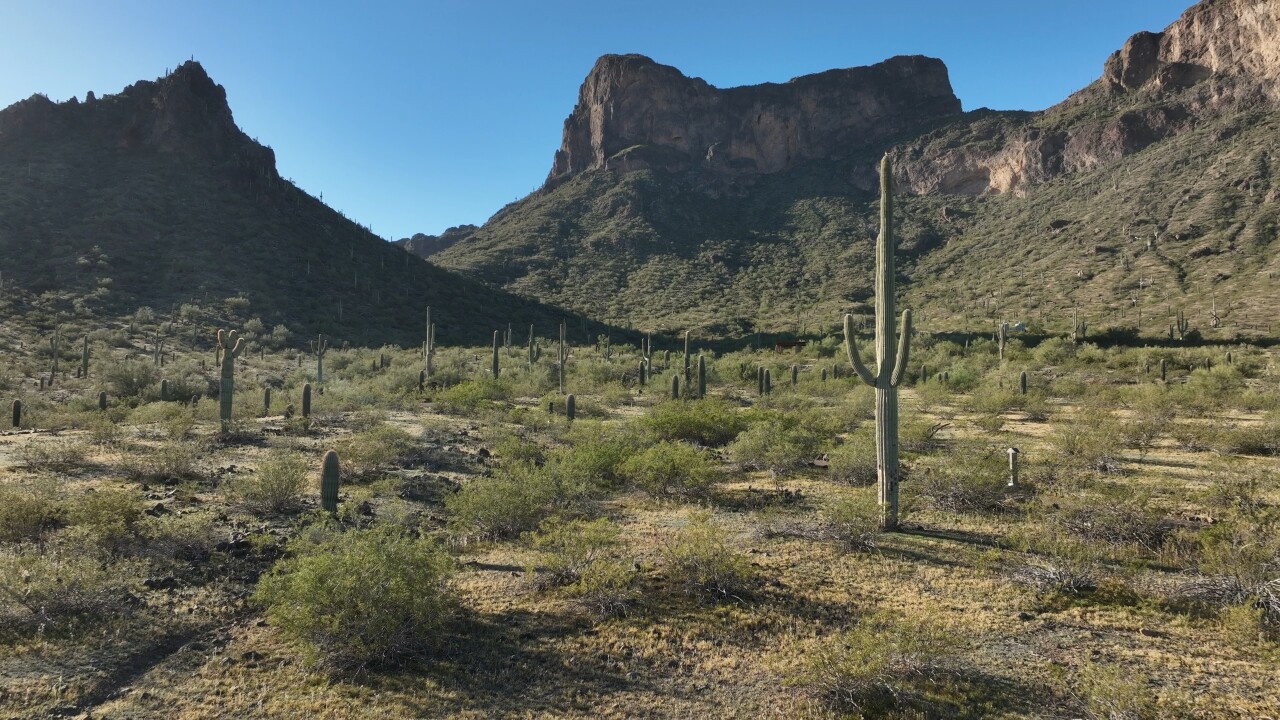 Picacho Peak State Park.jpeg
