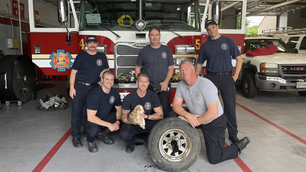 Firefighters save puppy
