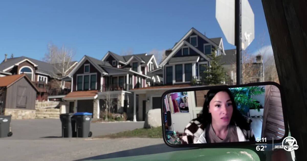 Dogs Rule Poster Airbnb's new host rules spark concern among cleaners, hosts and guests ...