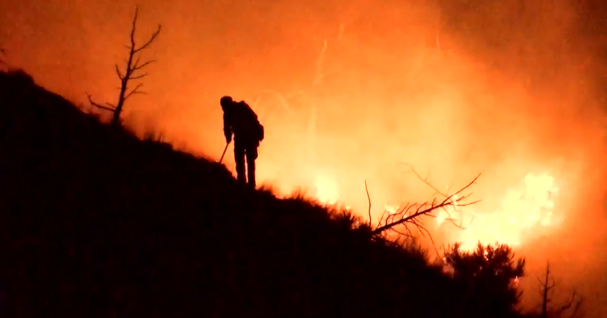 Daines and Tester want permanent pay increase for federal wildland firefighters - Vimarsana News