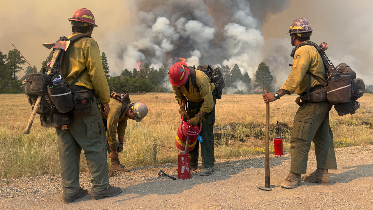 ferrisfire.png
