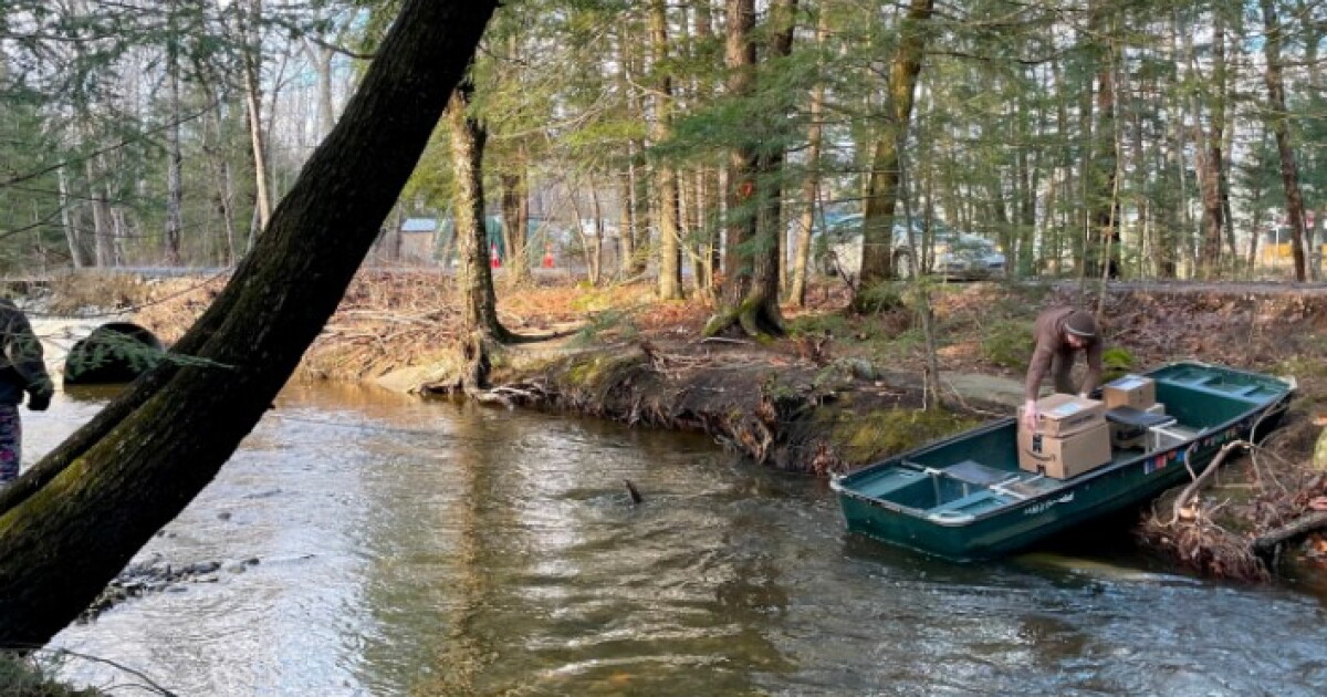 UPS driver goes the extra mile and uses boat to make holiday deliveries - Vimarsana News