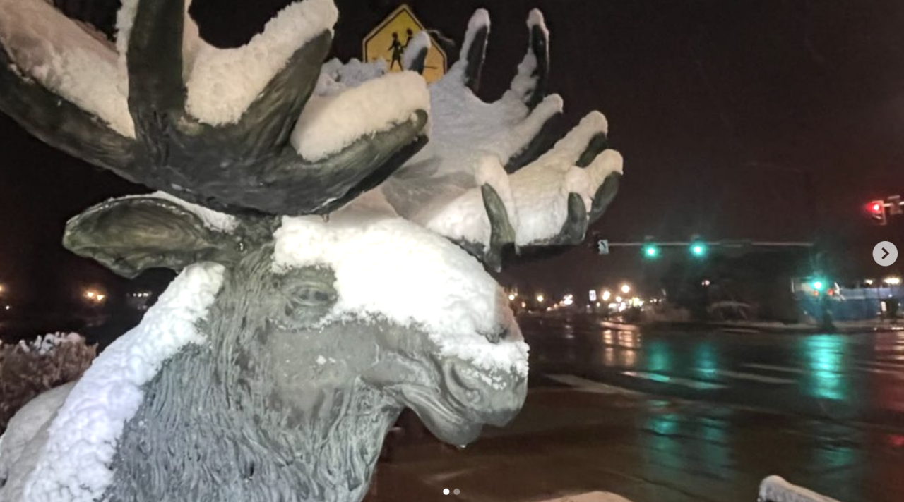 Woodland Park Snow In May - Photo of a moose statue downtown woodland park covered in snow with a street in the background with green stoplights.