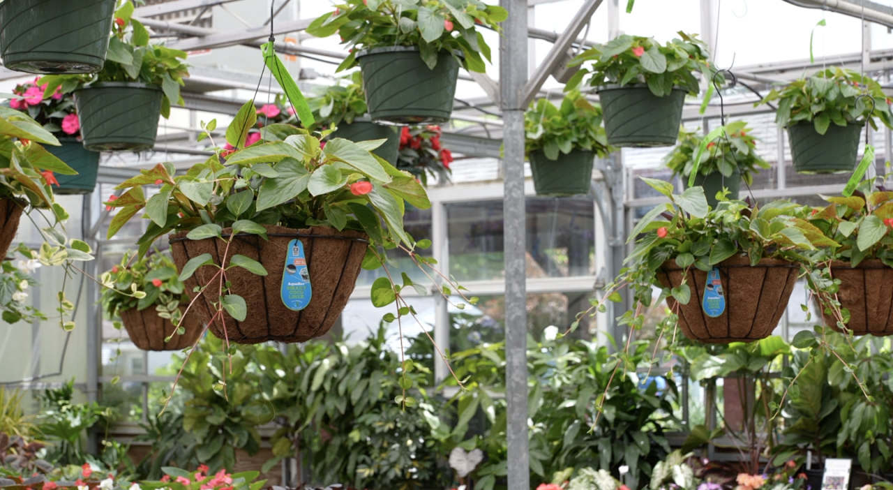 Screenshot 2025-05-19 at 4.08.59 PM.png