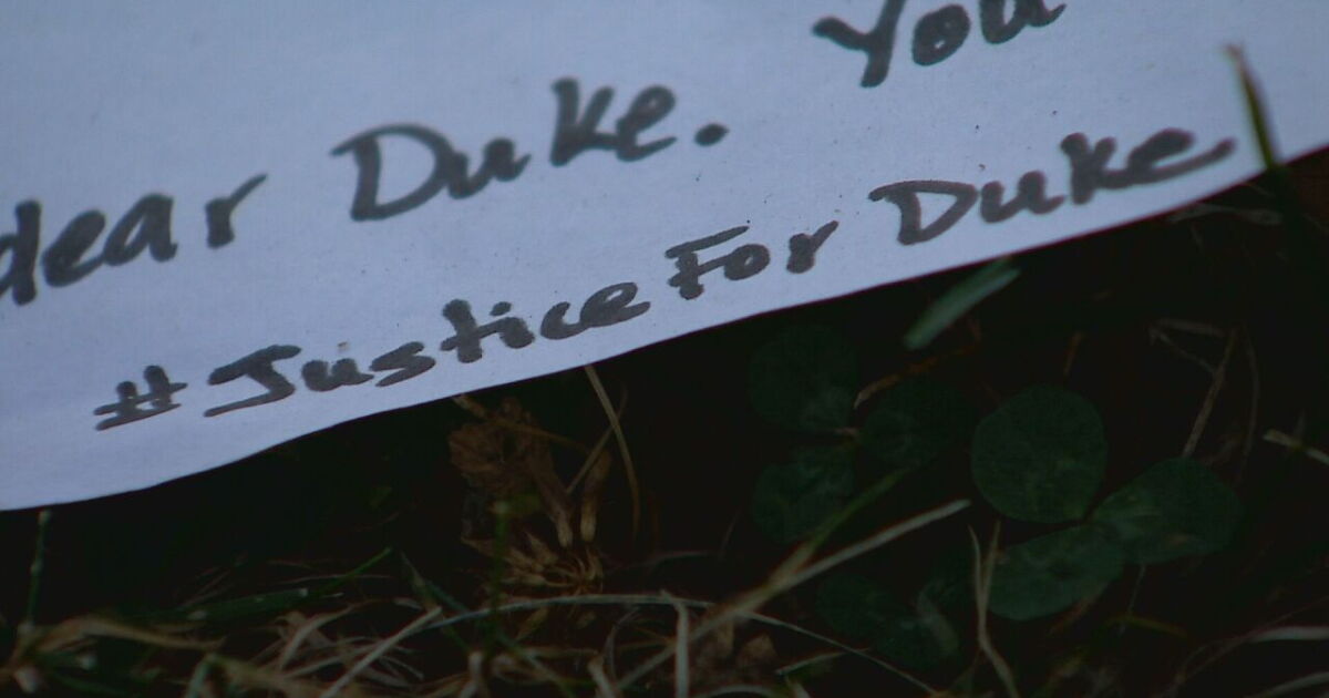 Nashville DA won't charge man for shooting dog in park - Vimarsana News