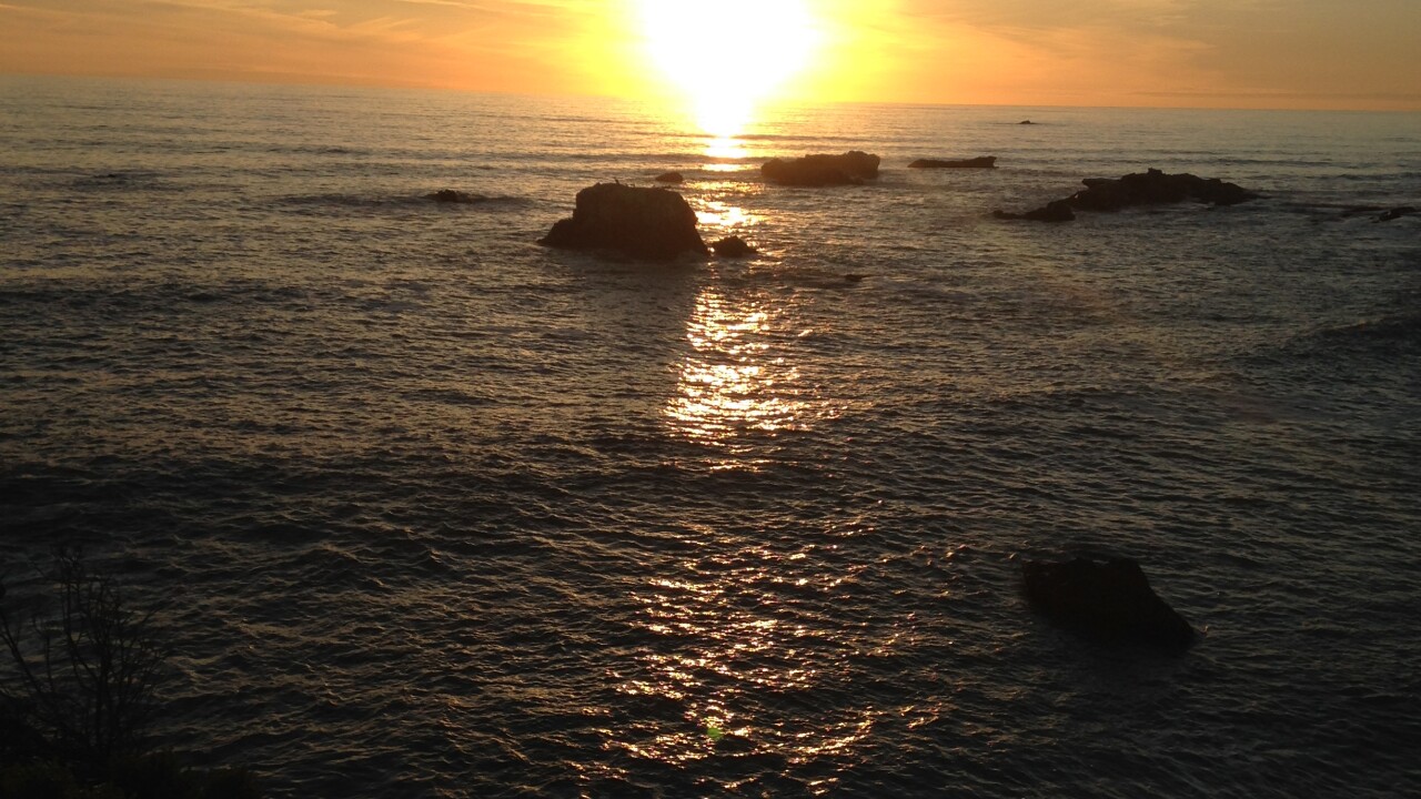 mONSHELLbeach.jpeg