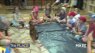 Fun at Chicken Chat