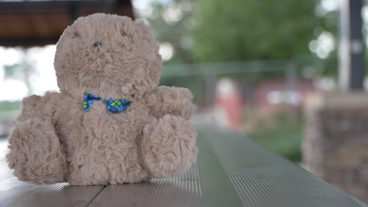 Teddy bear 