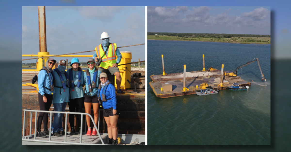 Oyster reef beds in St. Charles Bay creating essential habitat for marine life - Vimarsana News