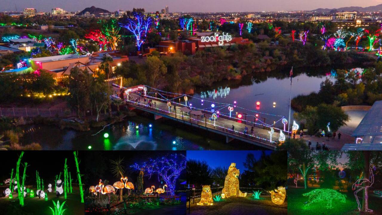 Here's your guide to 'ZooLights' at the Phoenix Zoo here-s-your-guide-to-zoolights-at-the-phoenix-zoo