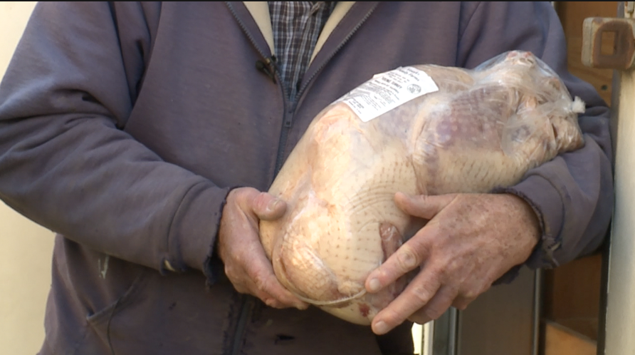 Vesecky Turkey