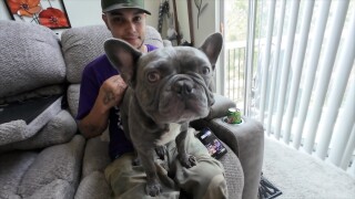 'It was hard' | Man reunited with dog after car theft, still searching for late wife's ashes