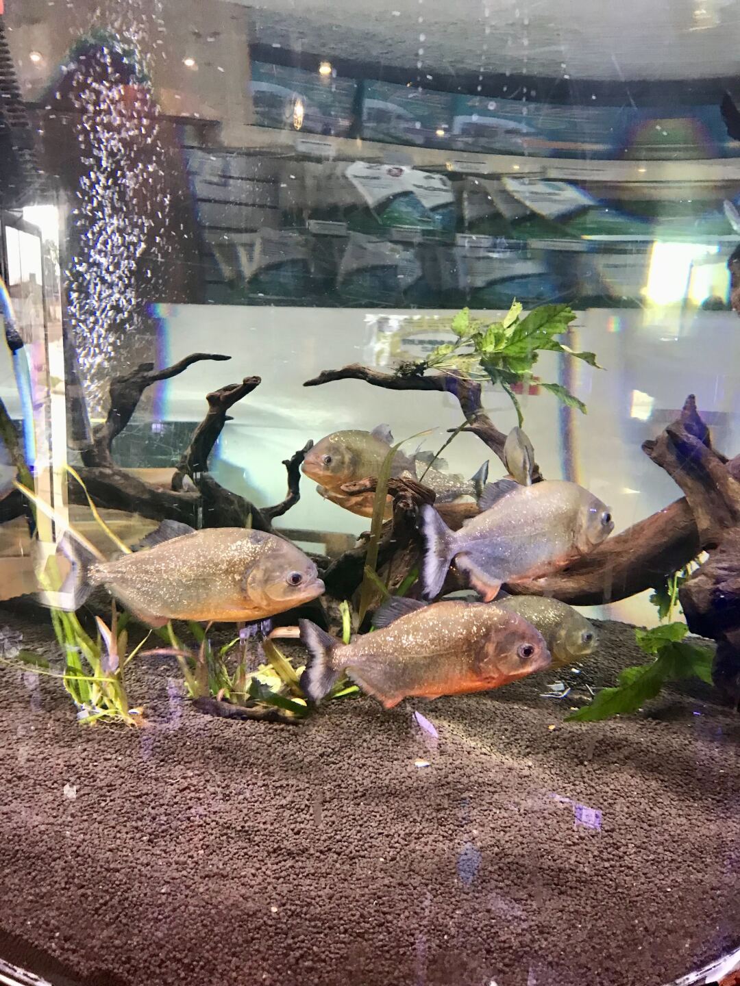 Image from iOS - 2022-09-20T161612.258.jpg