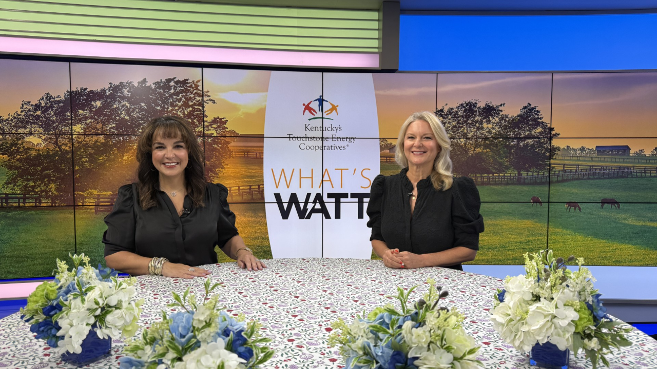 'What's Watt' with Kentucky's Touchstone Energy Cooperatives
