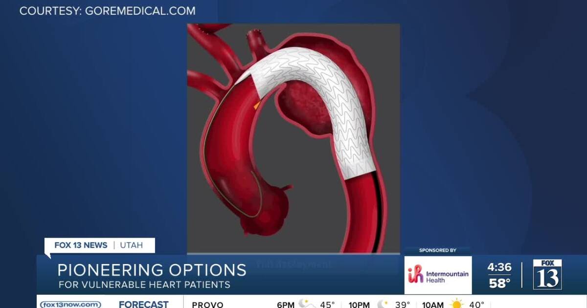 New treatment targets the heart’s most dangerous blood vessel New treatment targets the heart’s most dangerous blood vessel