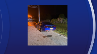 mustang.png