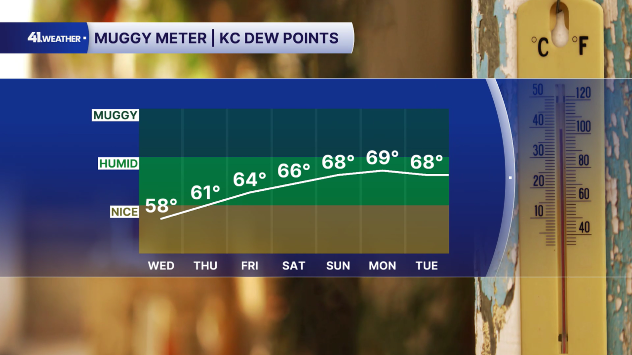 Muggy Meter