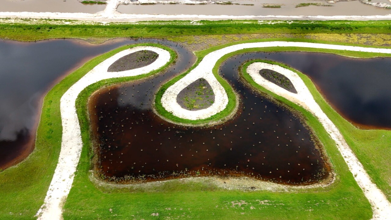 Aerial view of the filter marsh, a winding stretch of water planted with cypress trees to naturally filter water.