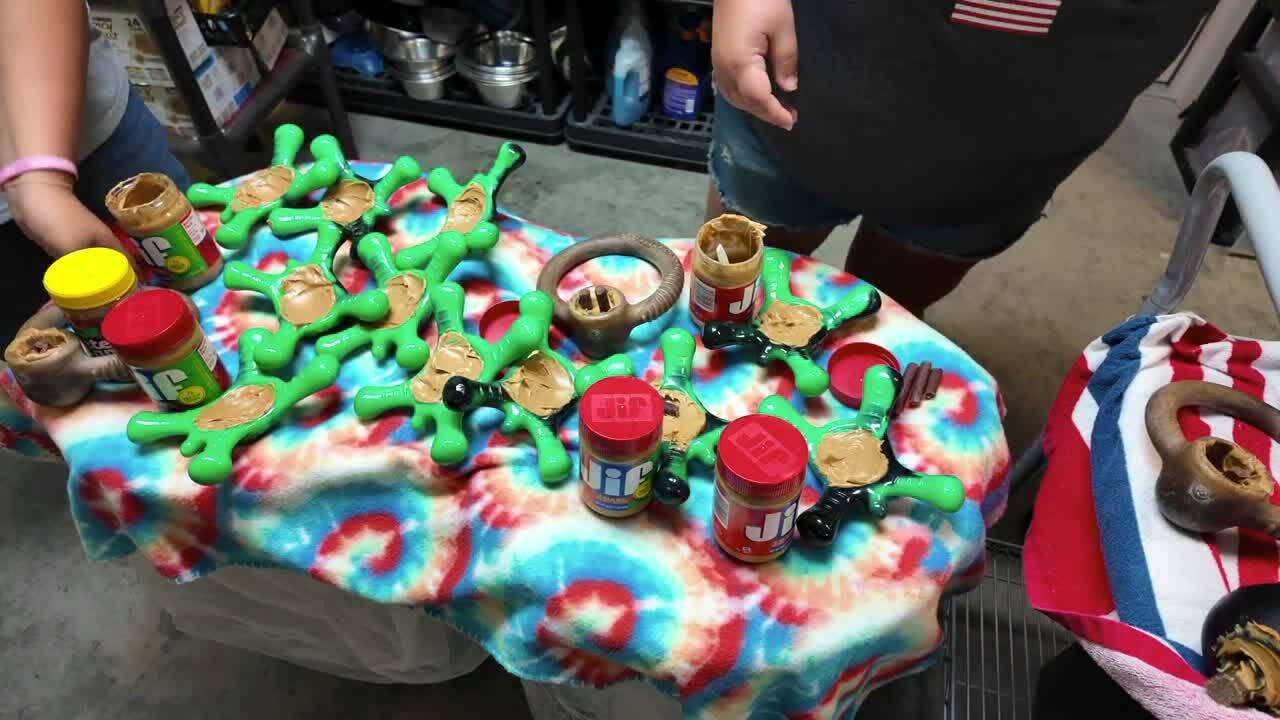 Poster image - 2024-07-04T170712.074.jpg