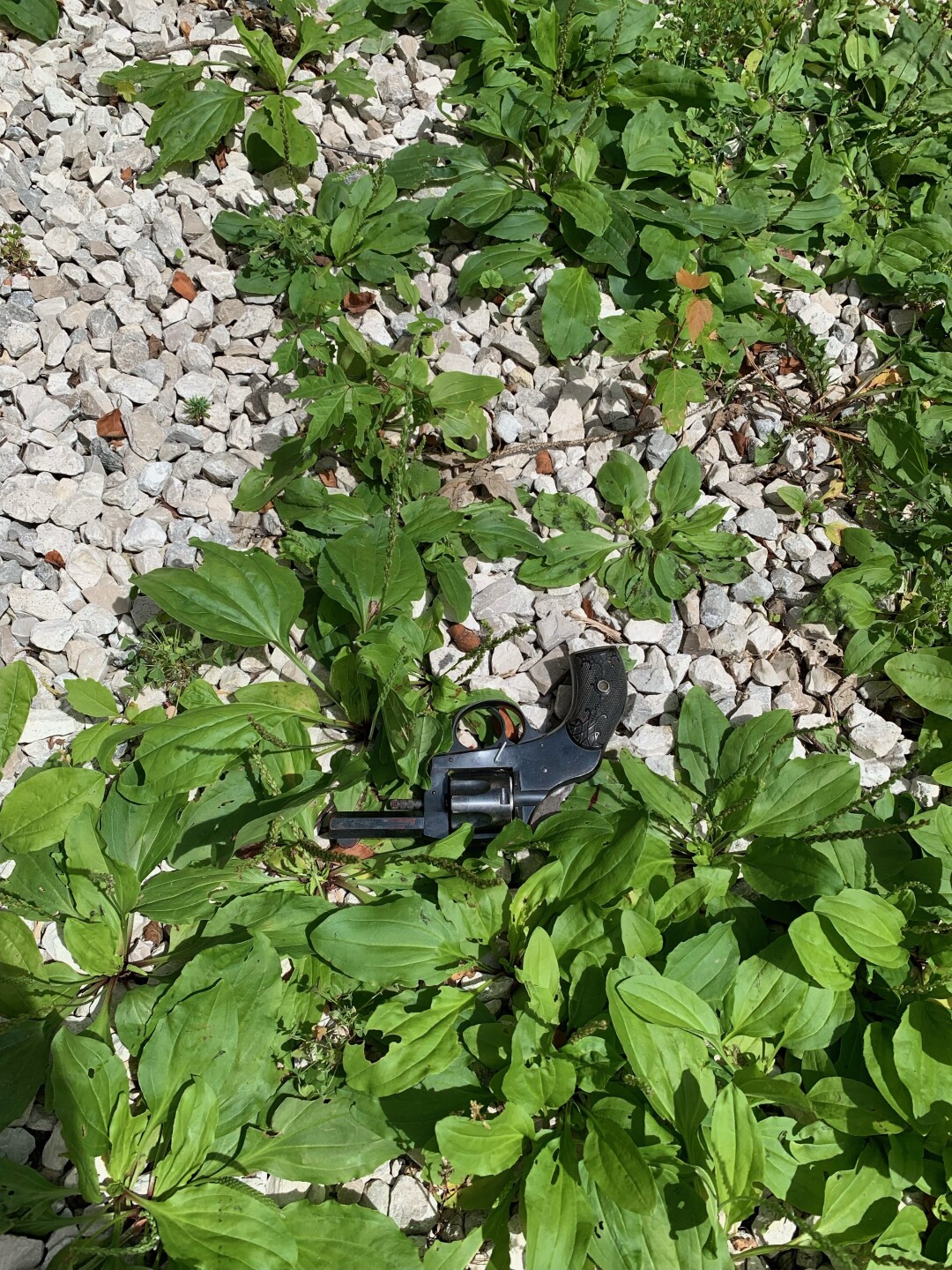 OIS 5108 W Vermont St IP240061391.jpg