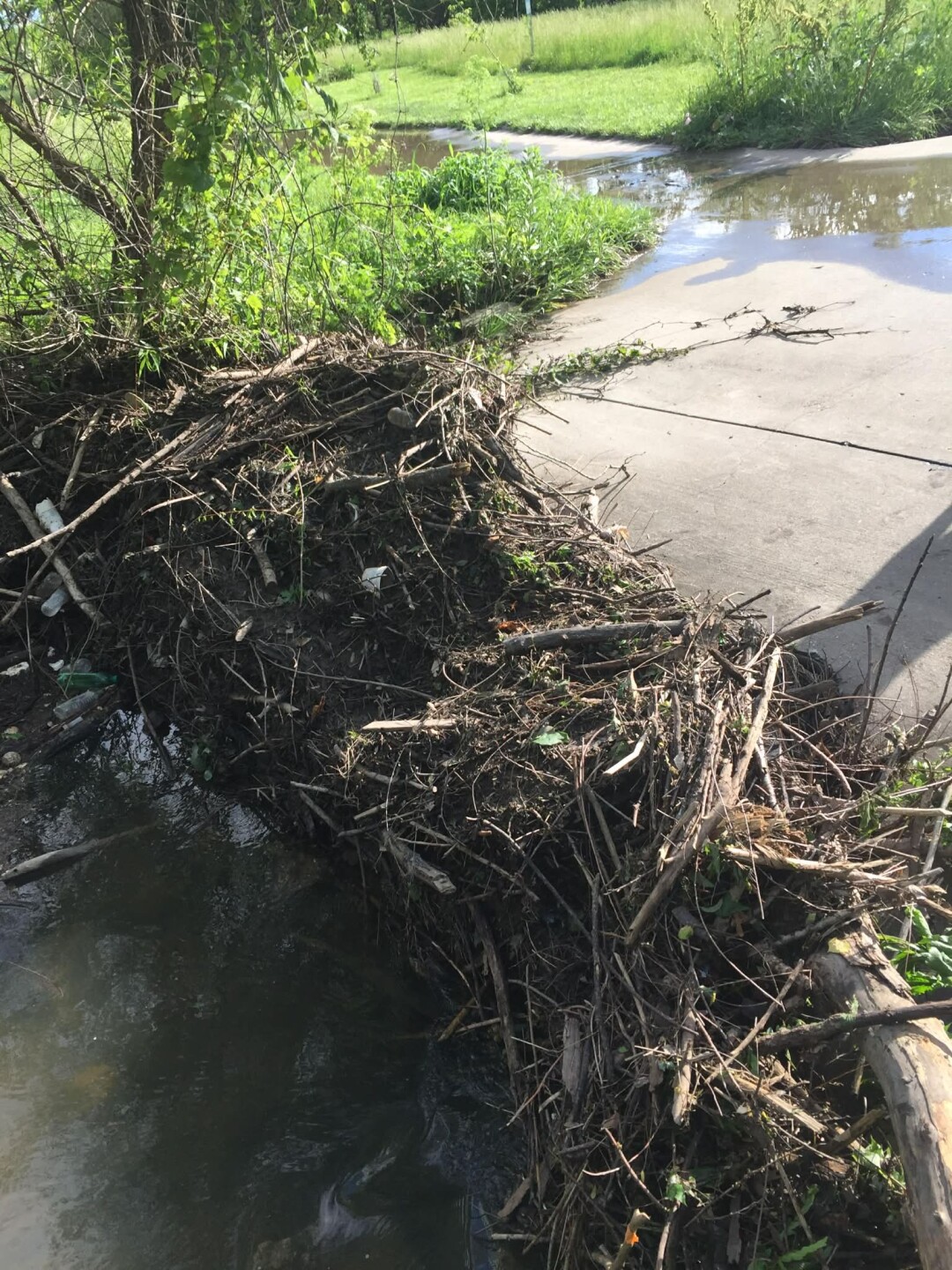 Beaver Dam Good Parkway Raymore