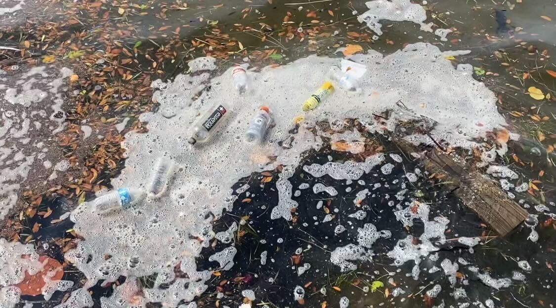 Litter Skimmer Works To Clean Up Hillsborough River During The 4th Of litter-skimmer-works-to-clean-up-hillsborough-river-during-the-4th-of