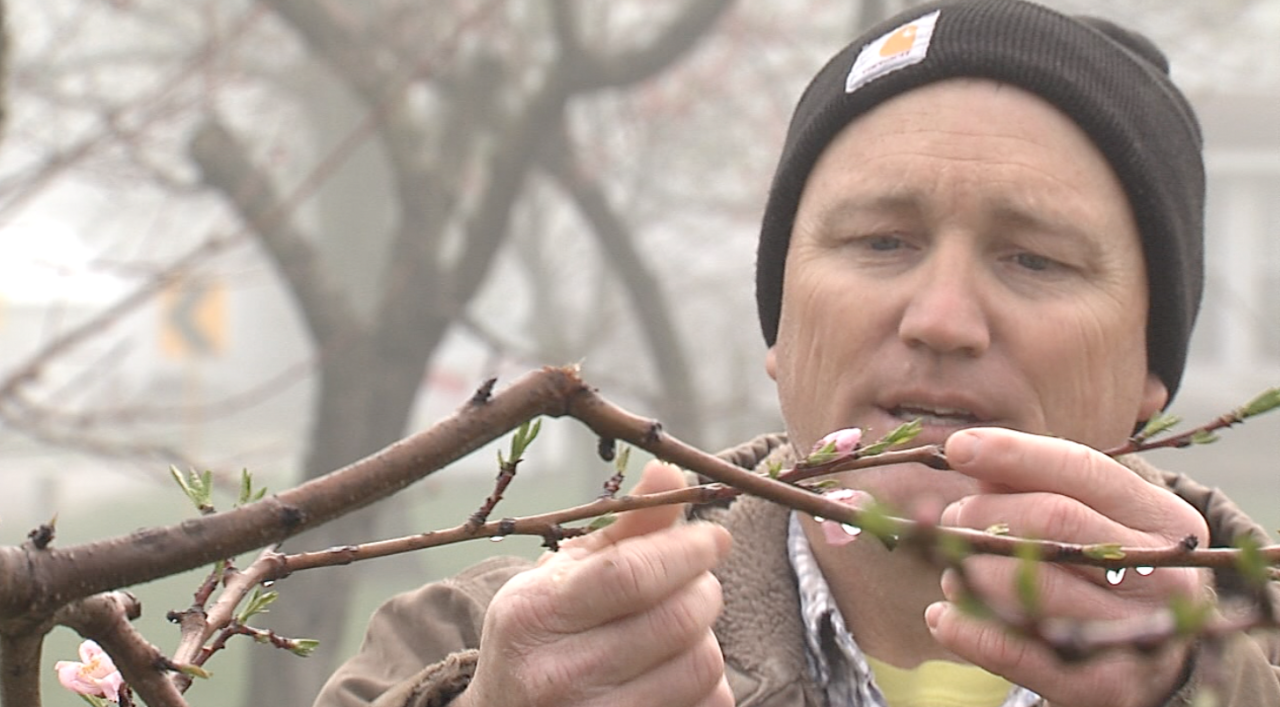 Screenshot 2025-08-01 at 3.45.18 PM.png