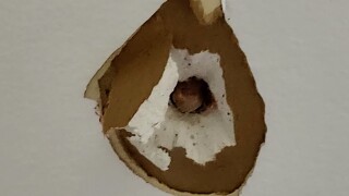 new web.jpg