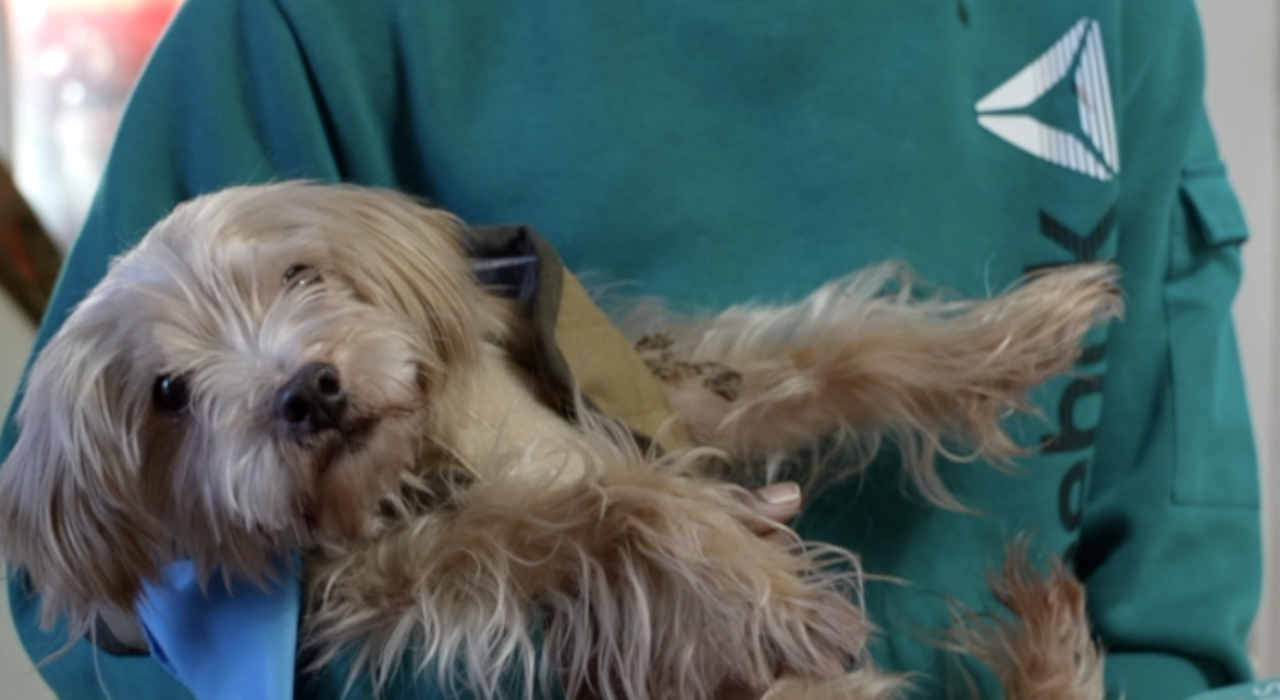 Screenshot 2025-06-18 at 4.18.48 PM.png